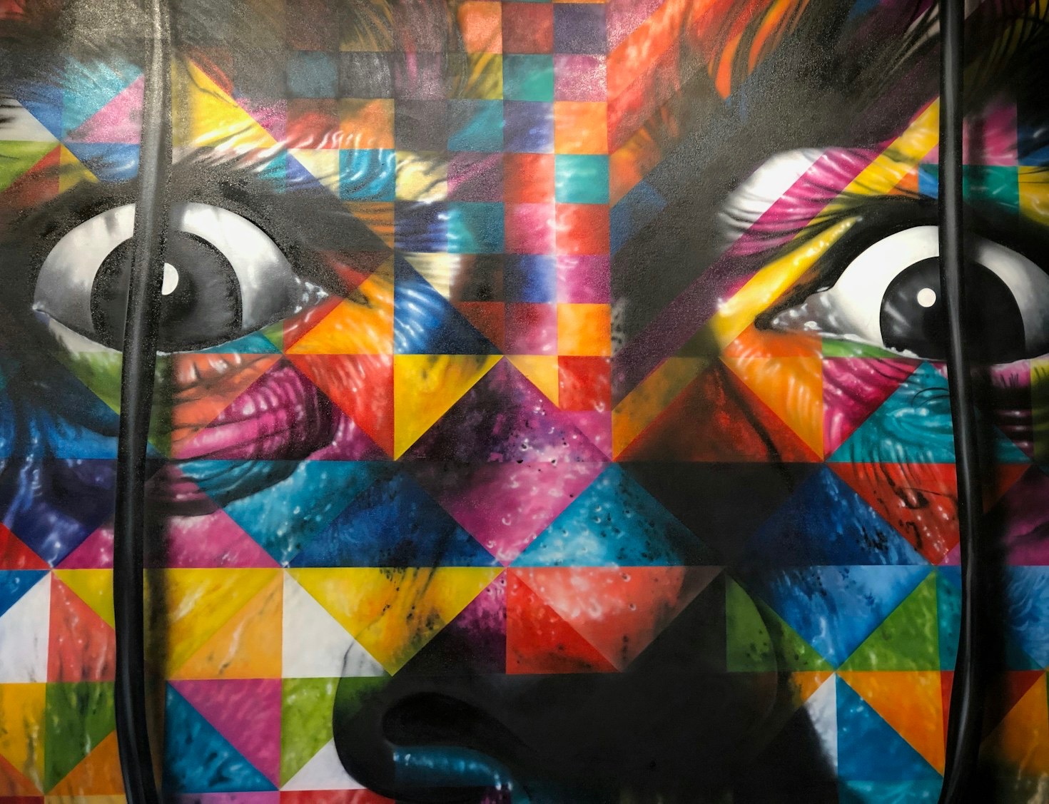 The Inspiration Behind Vibrant Paintings